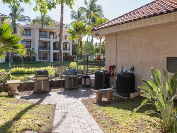 Hilo District Home 1025425