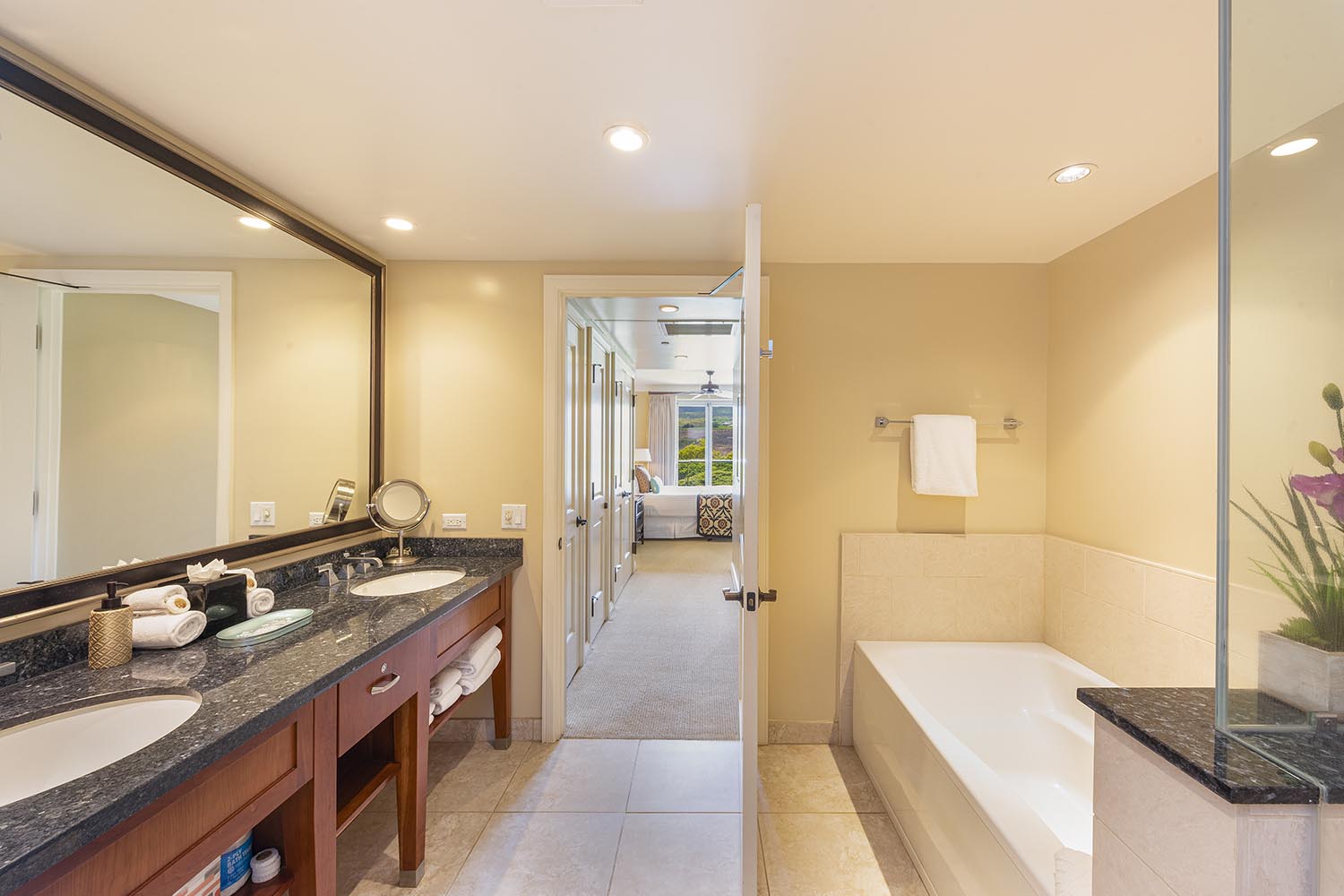 Kaanapali Condo 1025432