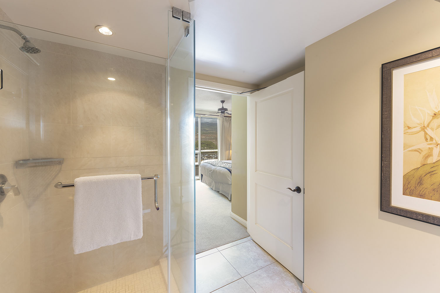 Kaanapali Condo 1025432