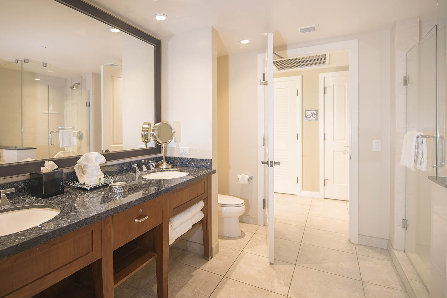 Kaanapali Home 1025434