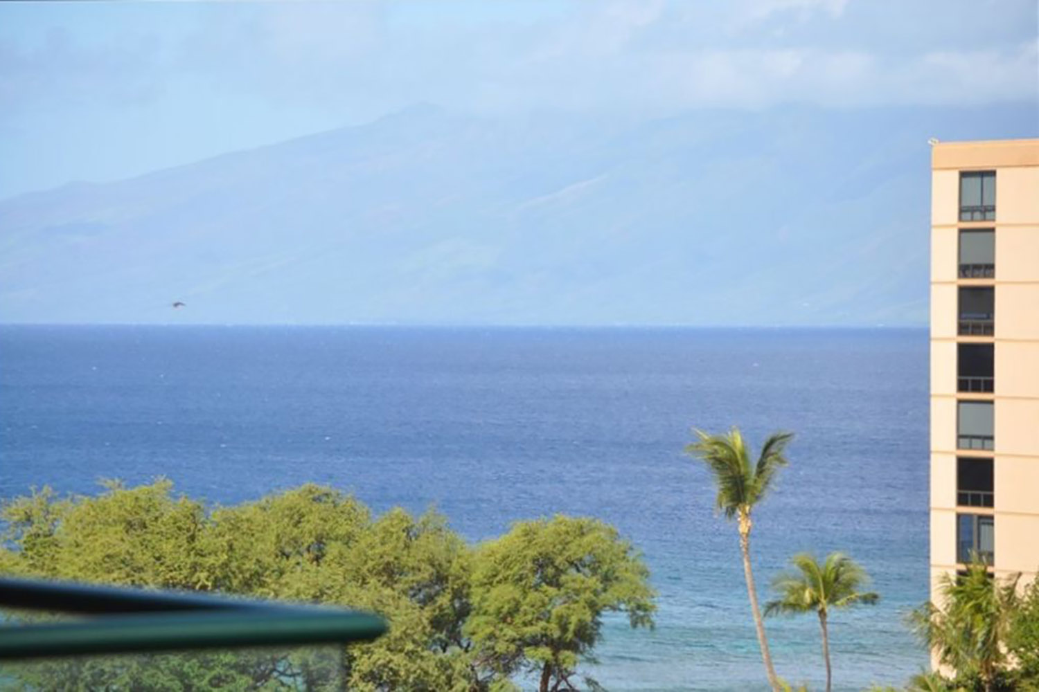 Kaanapali Condo 1025443