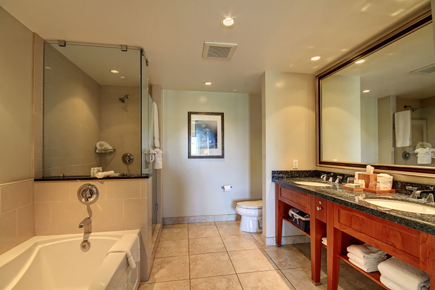Kaanapali Home 1025448