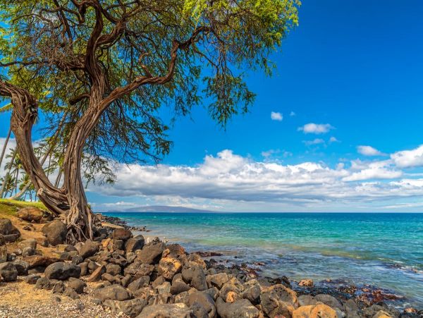 Charming Kihei Vacation Rental Cozy Comfort Awaits