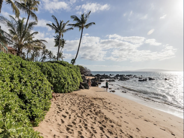 Gorgeous 4 Bedroom Rental in Kihei  Beach Just Across Street!