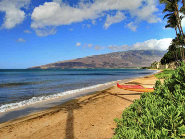 6 Bedroom Duplex Penthouse, Walk to Beach