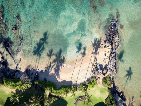 Villa Estate Upscale Oceanfront  Vacation Estate Maui  9- 13 Private Villas