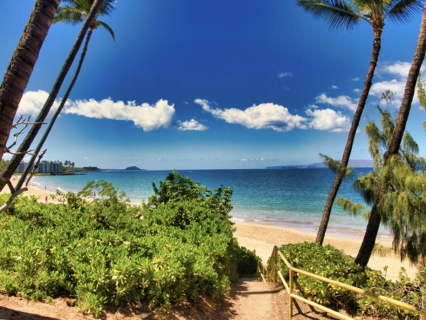 Villa Estate Upscale Oceanfront  Vacation Estate Maui  9- 13 Private Villas