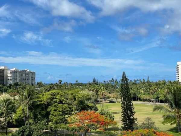 Honolulu Diamond Head Kahala Home 1025491