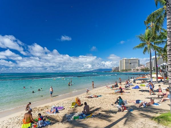 Honolulu Diamond Head Kahala Home 1025498