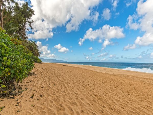 Honolulu Diamond Head Kahala Home 1025525