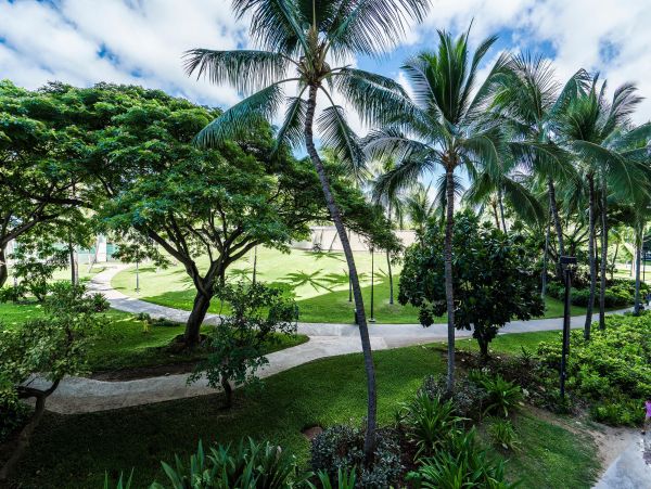 Honolulu Diamond Head Kahala Home 1025530