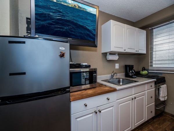 Honolulu Diamond Head Kahala Home 1025535