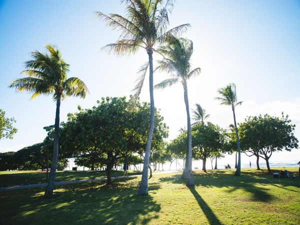 Honolulu Diamond Head Kahala Home 1025539