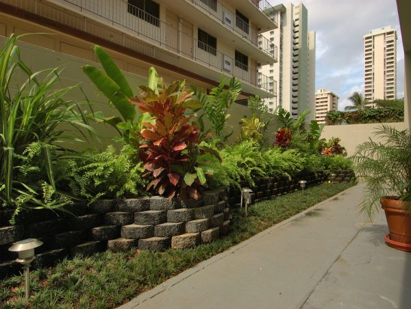 Honolulu Diamond Head Kahala Home 1025564