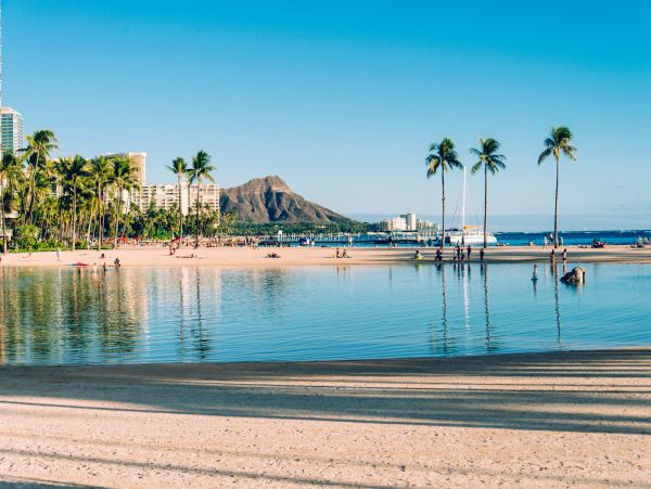 Honolulu Diamond Head Kahala Home 1025566