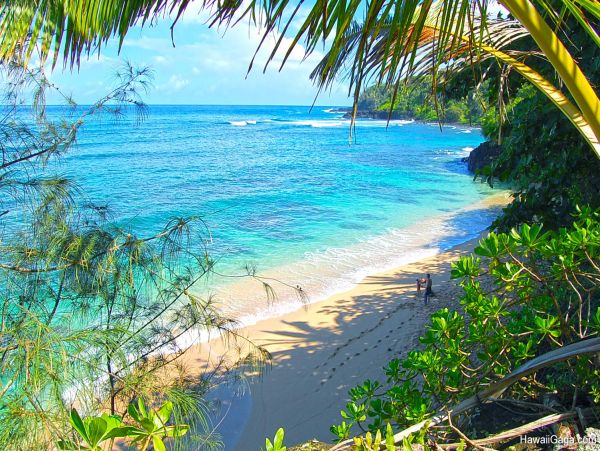 Walk to beach Princeville Vacation Home Three Bedroom