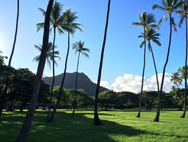 Honolulu Diamond Head Kahala Home 1025571
