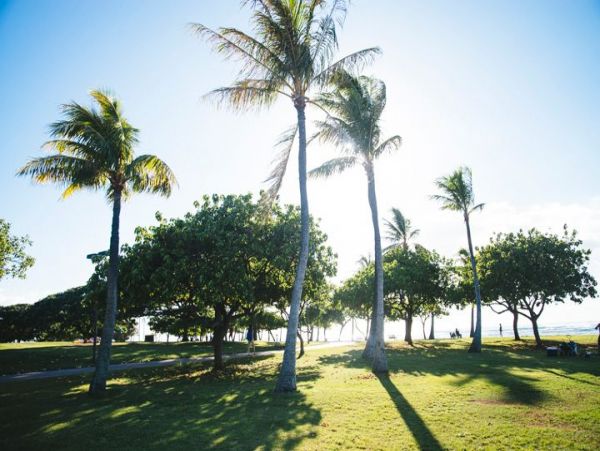 Honolulu Diamond Head Kahala Home 1025576