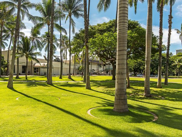 Honolulu Diamond Head Kahala Home 1025580