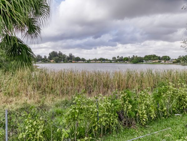 Miami Beach Home 1025624