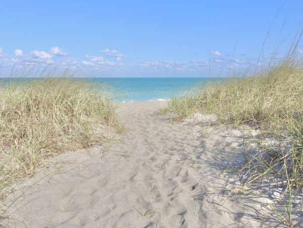 Hutchinson Island Condo 1025634