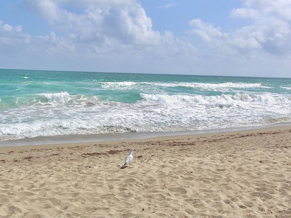Jensen Beach Home 1025637