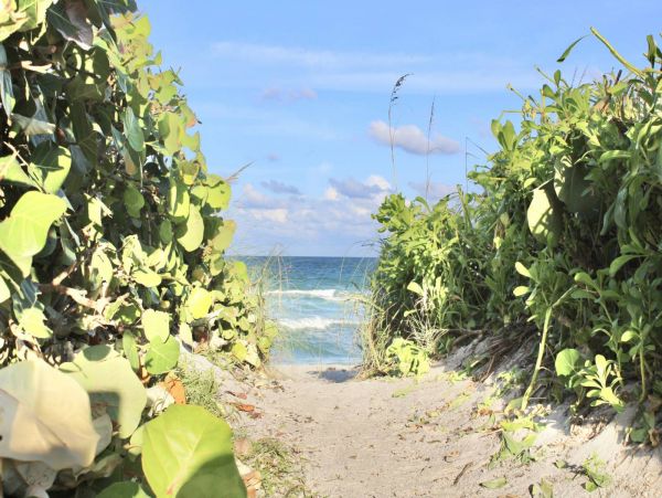 Jensen Beach Condo 1025638