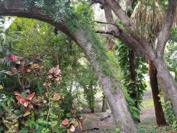 New Smyrna Beach Condo 1025641