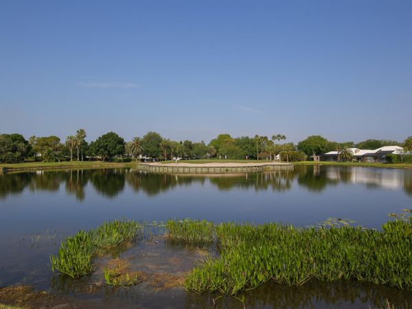 Venice Home 1025647