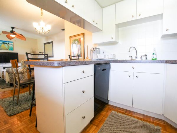 Venice Condo 1025654