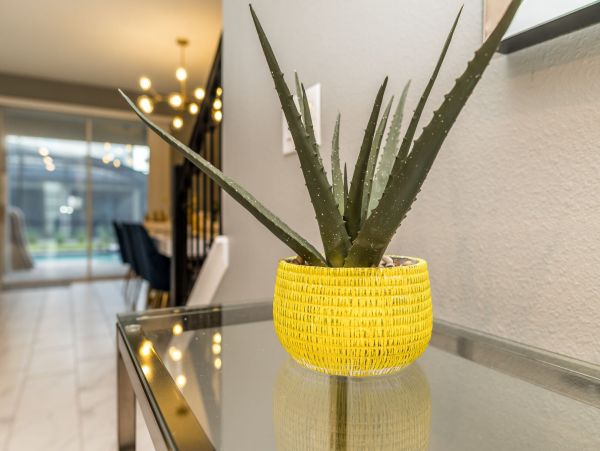 Orlando Home 1025699