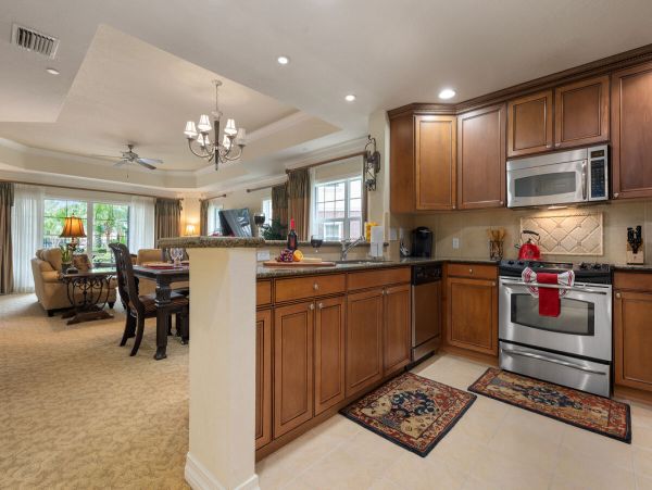 Orlando Condo 1025705