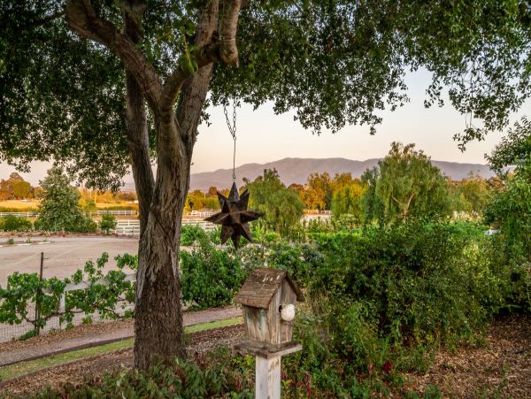 Santa Ynez Vacation Home Three Bdr plus 2 Bdr Guest House