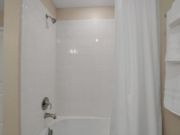 Orlando Condo 1025736