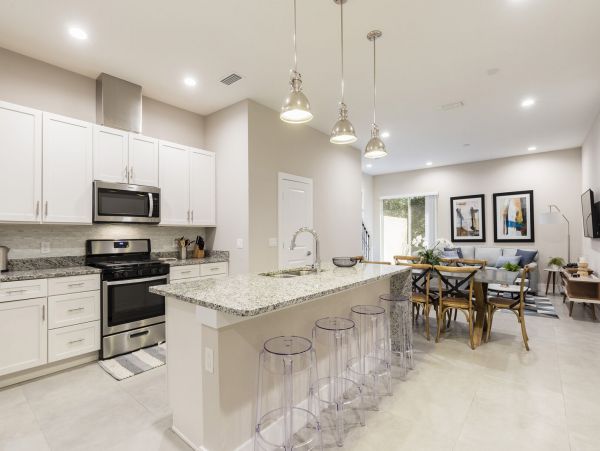 Orlando Condo 1025741