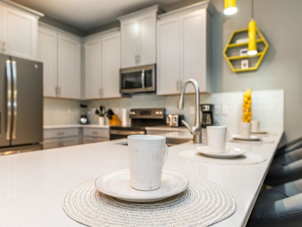 Orlando Home 1025748