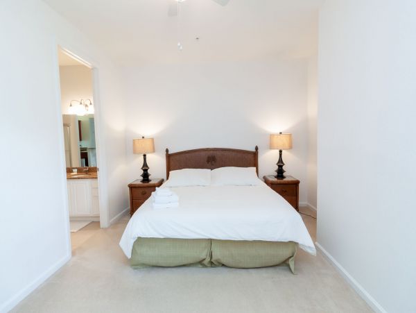 Orlando Condo 1025761