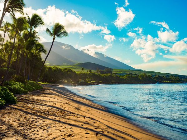 Walk to Beach Koloa Vacation Condo Two Bedroom