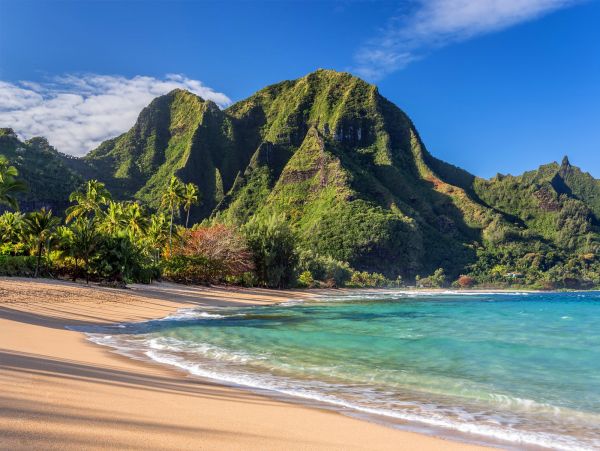 Walk to Beach Koloa Vacation Condo Two Bedroom