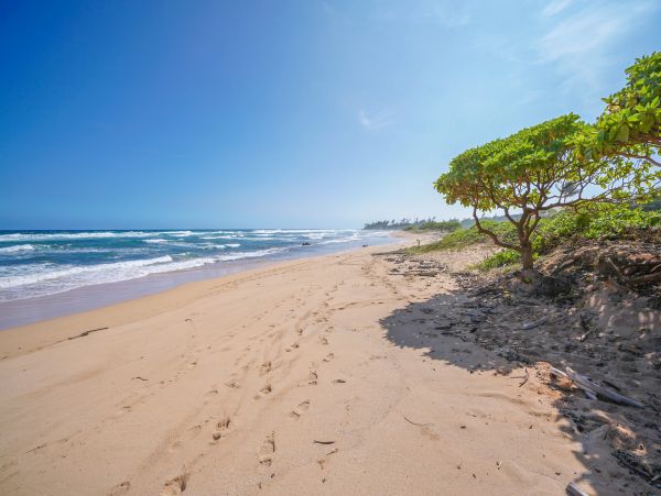 Walk to Beach Koloa Vacation Condo Two Bedroom
