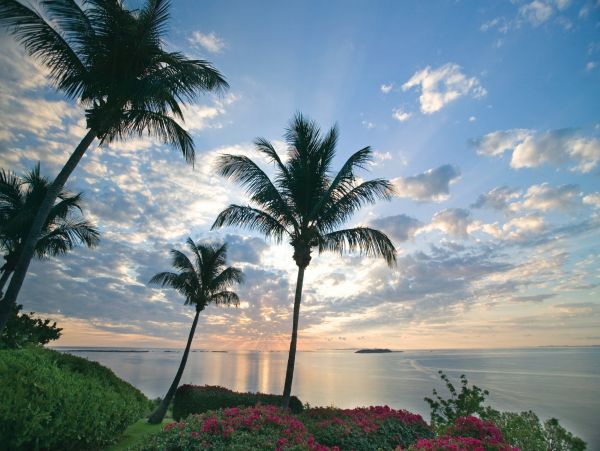 Puerto Rico Home 1025775