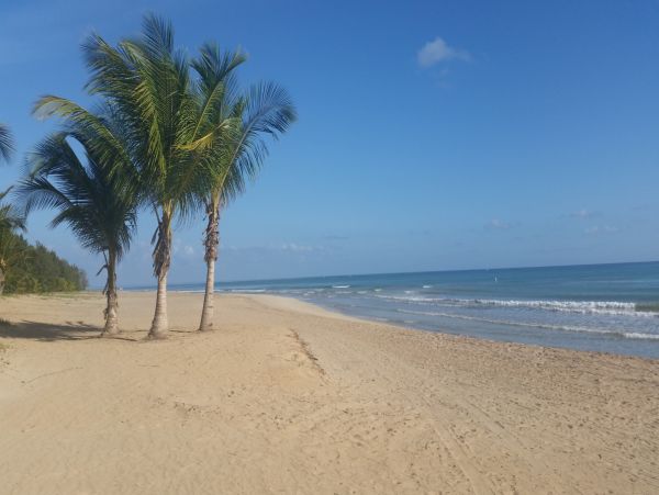 Puerto Rico Home 1025777