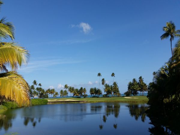 Puerto Rico Home 1025777