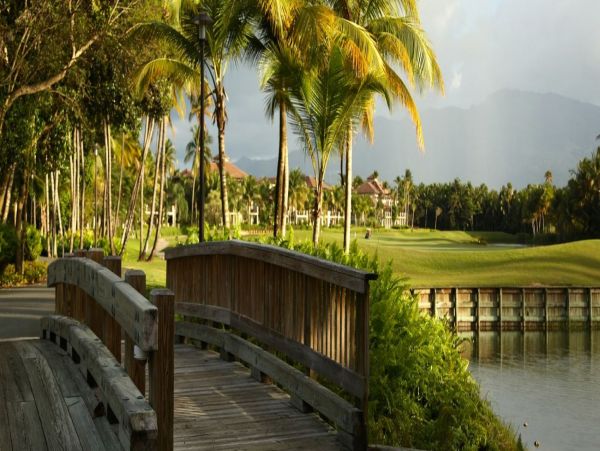 Puerto Rico Home 1025786