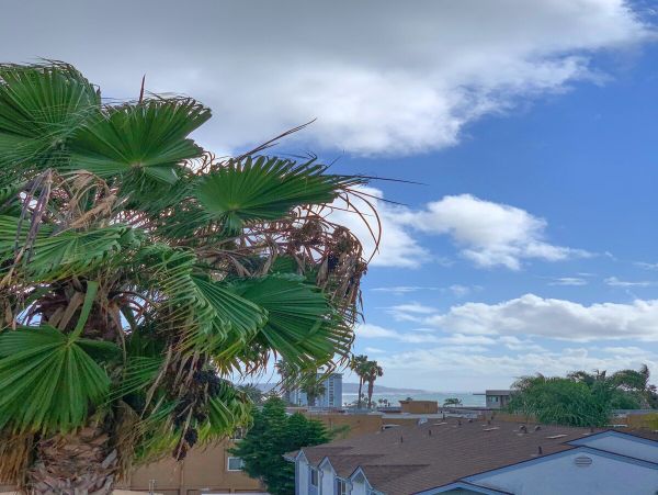 Mission Beach And Pacific Beach Home 1025808