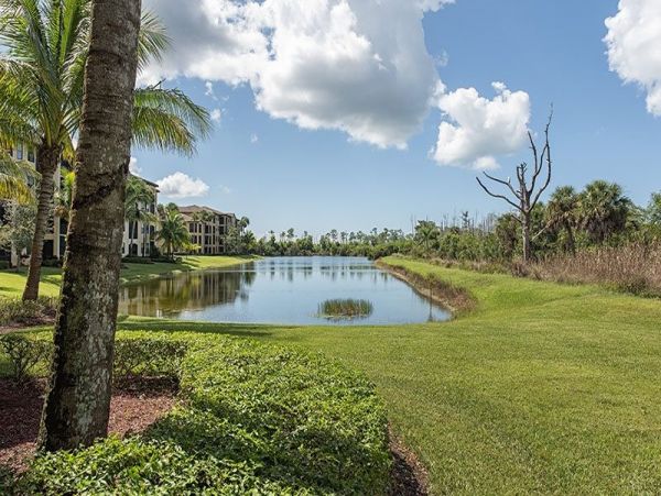 Naples Condo 1025836