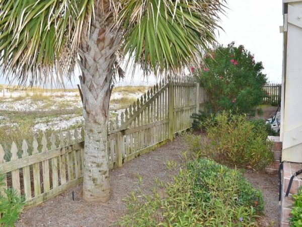 Alabama Beach Areas Home 1025839