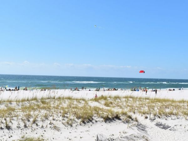Alabama Beach Areas Home 1025839