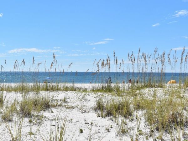 Alabama Beach Areas Home 1025839