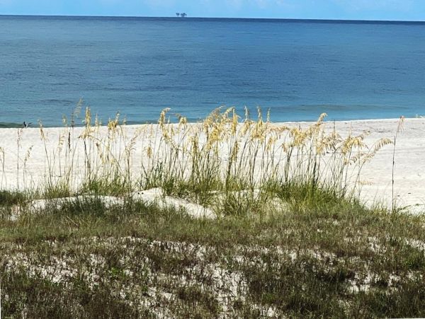 Alabama Beach Areas Home 1025849